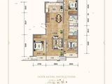 万科未来城二期_3室2厅2卫 建面117平米