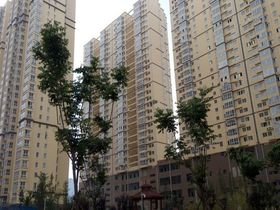 达生凤苑国际