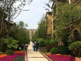 中昂邑上原著