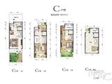 建业春天里_3室2厅5卫 建面290平米