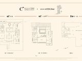 天房留风园_4室3厅5卫 建面520平米