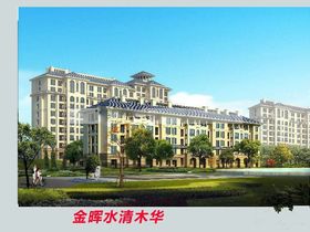 金晖水清木华