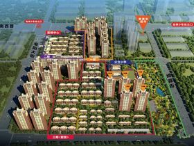 万锦香樟树