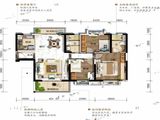 碧桂园云廷_3室2厅2卫 建面116平米