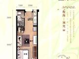 中信国安北海第一城3号地块_1室1厅1卫 建面46平米