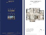 龙湖春江天玺_4室2厅2卫 建面123平米