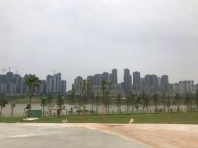 龙湖盛天双珑原著