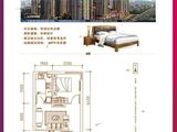 金州福佳新天地购物广场_1室1厅1卫 建面50平米