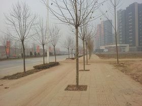 永威五月花城