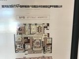 楚河金茂府_4室2厅3卫 建面174平米