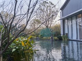 龙湖景粼天著