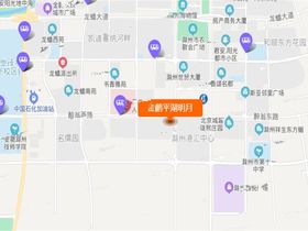 金鹏平湖明月