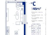 千灯湖C+_1室1厅1卫 建面46平米