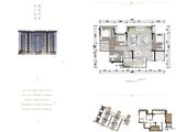 金科龙里东方_3室2厅2卫 建面106平米