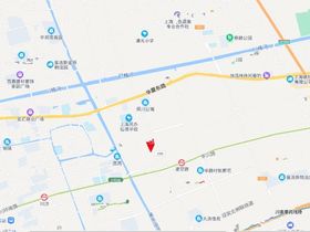 浦发东望